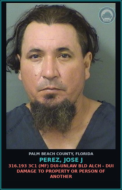 CCW arrest card for PEREZ, JOSE J in Palm Beach County: 316.193 3C1 (MF) DUI-UNLAW BLD ALCH - DUI DAMAGE TO PROPERTY OR PERSON OF ANOTHER