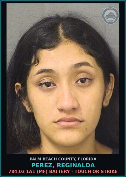 CCW arrest card for PEREZ, REGINALDA in Palm Beach County: 784.03 1A1 (MF) BATTERY - TOUCH OR STRIKE