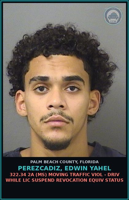 CCW arrest card for PEREZCADIZ, EDWIN YAHEL in Palm Beach County: 322.34 2A (MS) MOVING TRAFFIC VIOL - DRIV WHILE LIC SUSPEND REVOCATION EQUIV STATUS