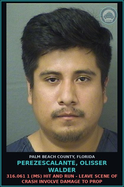 CCW arrest card for PEREZESCALANTE, OLISSER WALDER in Palm Beach County: 316.061 1 (MS) HIT AND RUN - LEAVE SCENE OF CRASH INVOLVE DAMAGE TO PROP