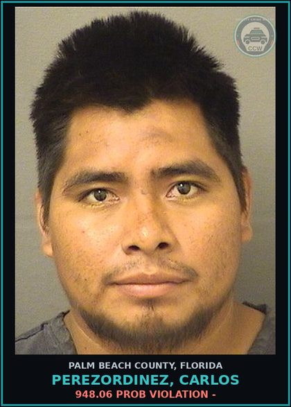 CCW arrest card for PEREZORDINEZ, CARLOS in Palm Beach County: 948.06 PROB VIOLATION -