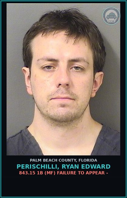 CCW arrest card for PERISCHILLI, RYAN EDWARD in Palm Beach County: 316.193 1A (MS) DUI-UNLAW BLD ALCH - DUI INFLUENCE OF ALCOHOL OR DRUGS