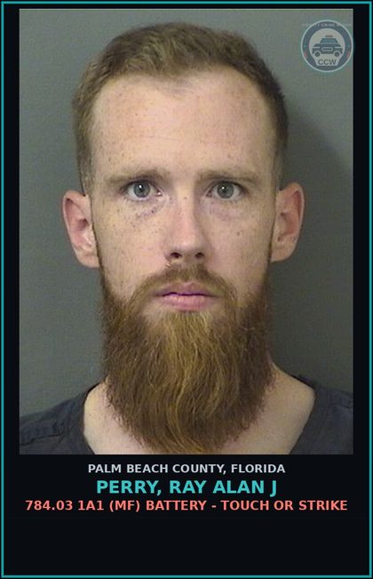 CCW arrest card for PERRY, RAY ALAN J in Palm Beach County: 784.03 1A1 (MF) BATTERY - TOUCH OR STRIKE