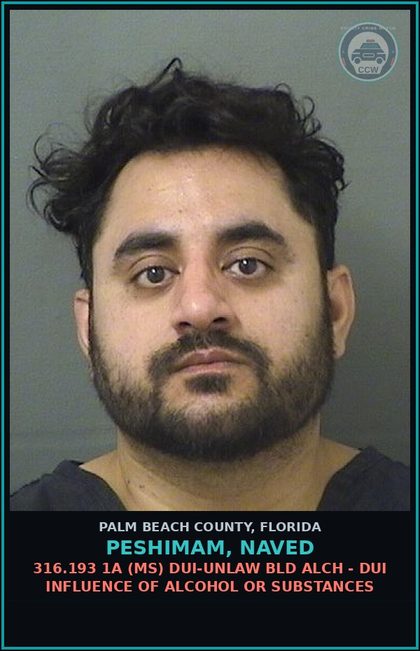 CCW arrest card for PESHIMAM, NAVED in Palm Beach County: 316.193 1A (MS) DUI-UNLAW BLD ALCH - DUI INFLUENCE OF ALCOHOL OR DRUGS