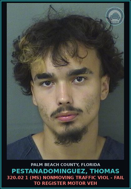 CCW arrest card for PESTANADOMINGUEZ, THOMAS in Palm Beach County: 320.02 1 (MS) NONMOVING TRAFFIC VIOL - FAIL TO REGISTER MOTOR VEH