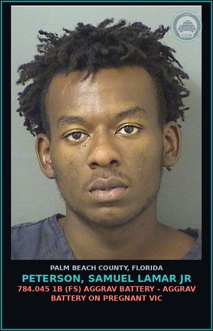 CCW arrest card for PETERSON, SAMUEL LAMAR Jr in Palm Beach County: 784.045 1B (FS) AGGRAV BATTERY - AGGRAV BATTERY ON PREGNANT VICTIM