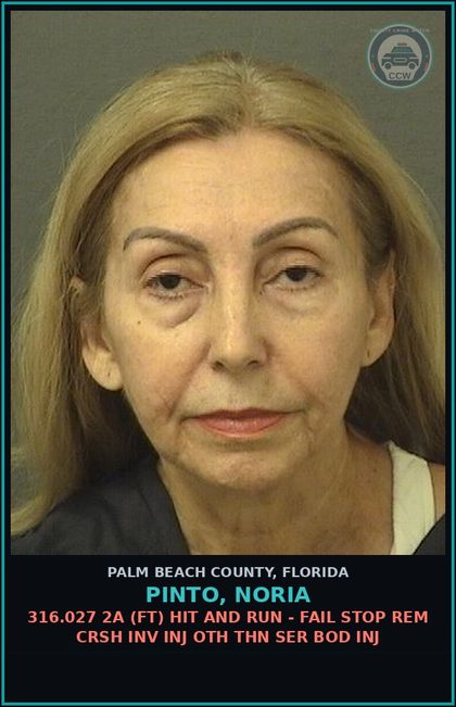 CCW arrest card for PINTO, NORIA in Palm Beach County: 316.027 2A (FT) HIT AND RUN - FAIL STOP REM CRSH INV INJ OTH THN SER BOD INJ