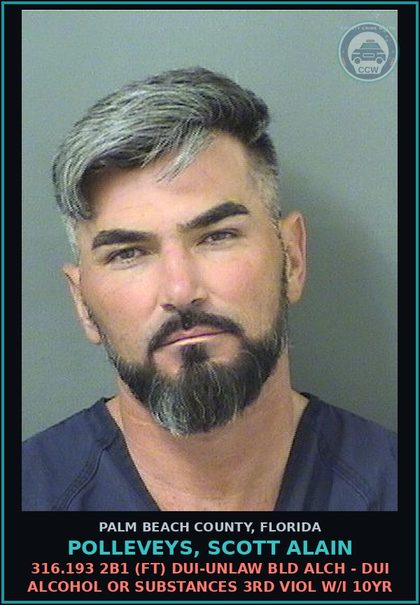 CCW arrest card for POLLEVEYS, SCOTT ALAIN in Palm Beach County: 316.193 2B1 (FT) DUI-UNLAW BLD ALCH - DUI ALCOHOL OR DRUGS 3RD VIOL W/I 10YR