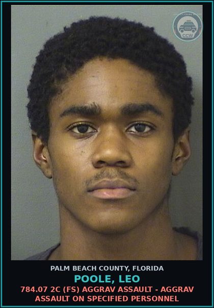 CCW arrest card for POOLE, LEO in Palm Beach County: 784.07 2C (FS) AGGRAV ASSAULT - AGGRAV ASSAULT ON SPECIFIED PERSONNEL