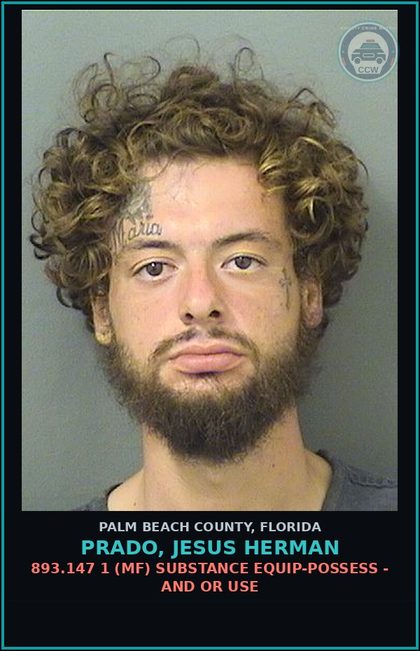 CCW arrest card for PRADO, JESUS HERMAN in Palm Beach County: 893.13 6A (FT) DRUGS-POSSESS - POSSESS contr substance W/O PRESCRIPTION