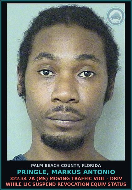 CCW arrest card for PRINGLE, MARKUS ANTONIO in Palm Beach County: 322.34 2A (MS) MOVING TRAFFIC VIOL - DRIV WHILE LIC SUSPEND REVOCATION EQUIV STATUS