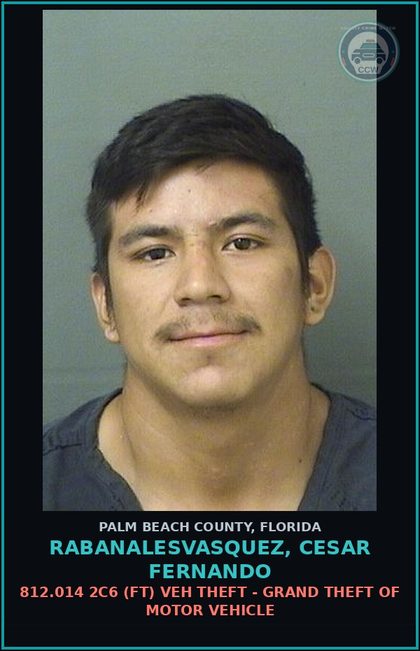 CCW arrest card for RABANALESVASQUEZ, CESAR FERNANDO in Palm Beach County: 812.014 2C6 (FT) VEH THEFT - GRAND THEFT OF MOTOR VEHICLE