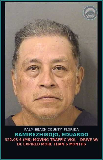 CCW arrest card for RAMIREZHISOJO, EDUARDO in Palm Beach County: 322.03 6 (MS) MOVING TRAFFIC VIOL - DRIVE W/ DL EXPIRED MORE THAN 6 MONTHS