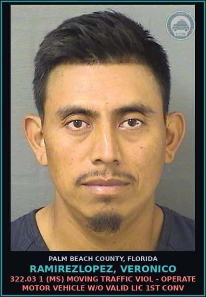 CCW arrest card for RAMIREZLOPEZ, VERONICO in Palm Beach County: 322.03 1 (MS) MOVING TRAFFIC VIOL - OPERATE MOTOR VEHICLE W/O VALID LIC 1ST CONV