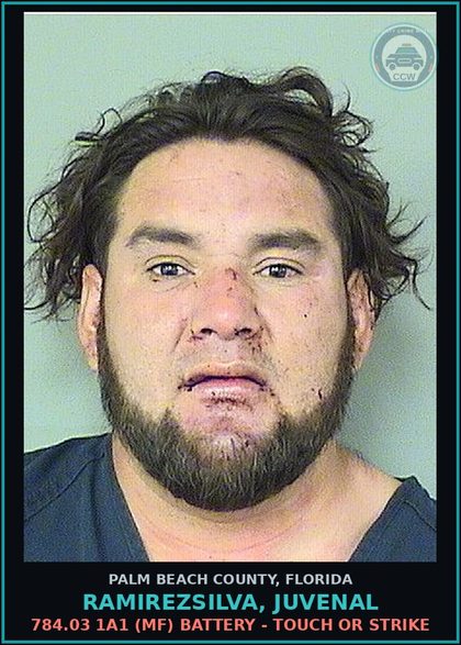CCW arrest card for RAMIREZSILVA, JUVENAL in Palm Beach County: 784.03 1A1 (MF) BATTERY - TOUCH OR STRIKE
