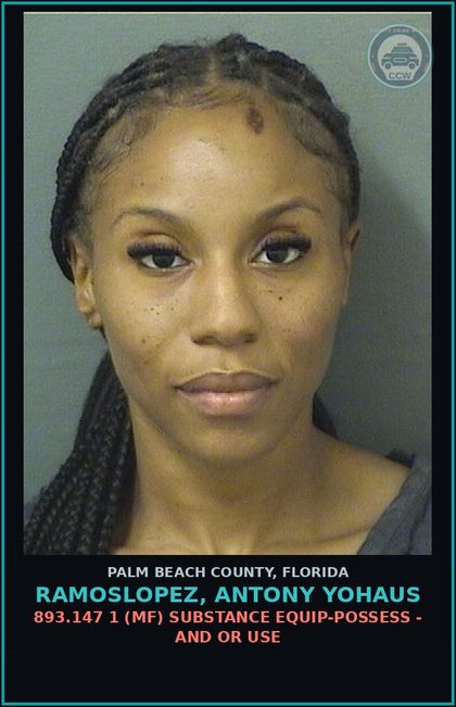 CCW arrest card for RAMOSLOPEZ, ANTONY YOHAUS in Palm Beach County: 812.014 3A (MS) LARC - OTHER THEFT