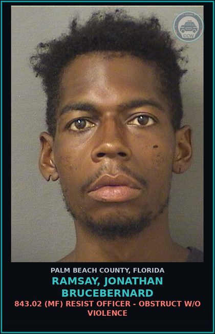 CCW arrest card for RAMSAY, JONATHAN BRUCEBERNARD in Palm Beach County: 812.014 3C (FT) LARC - PETIT THEFT MERCH FARM TRANSIT 2+ PRIOR CONV