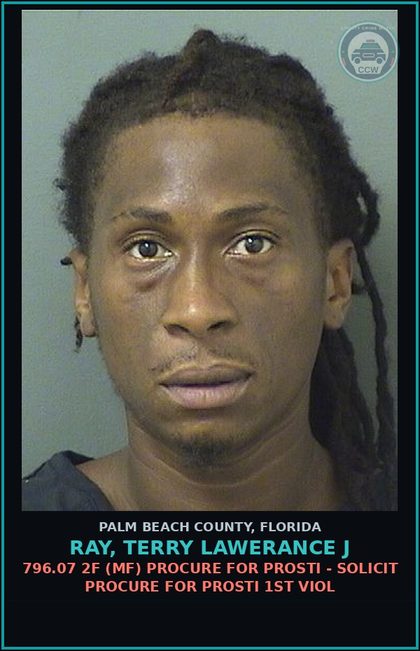CCW arrest card for RAY, TERRY LAWERANCE J in Palm Beach County: 796.07 2F (MF) PROCURE FOR Prosti - SOLICIT PROCURE FOR Prosti 1ST VIOL