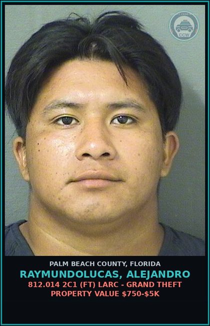 CCW arrest card for RAYMUNDOLUCAS, ALEJANDRO in Palm Beach County: 581.189 6C (FT) CONSERVATION - DESTROY/HARVEST PALMETTO BERRY W/O PERMISSION