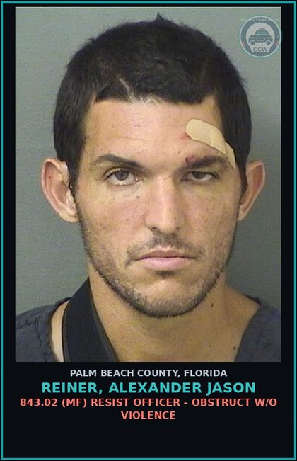 CCW arrest card for REINER, ALEXANDER JASON in Palm Beach County: 893.13 6A (FT) DRUGS-POSSESS - POSSESS contr substance W/O PRESCRIPTION