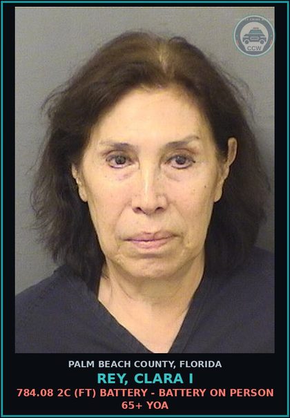 CCW arrest card for REY, CLARA I in Palm Beach County: 914.22 1E (FT) OBSTRUCTING JUSTICE - HINDER WITN COMM INFO TO LEO/JUDG NONCRIM PROC