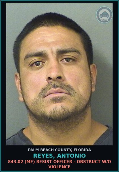 CCW arrest card for REYES, ANTONIO in Palm Beach County: 843.02 (MF) RESIST OFFICER - OBSTRUCT W/O VIOLENCE