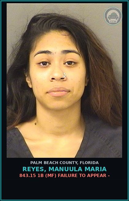 CCW arrest card for REYES, MANUULA MARIA in Palm Beach County: 893.13 6A (FT) DRUGS-POSSESS - POSSESS contr substance W/O PRESCRIPTION