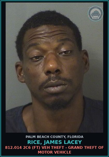 CCW arrest card for RICE, JAMES LACEY in Palm Beach County: 812.014 2C6 (FT) VEH THEFT - GRAND THEFT OF MOTOR VEHICLE