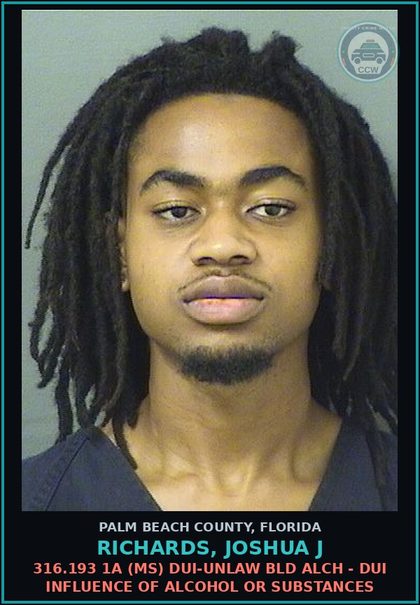 CCW arrest card for RICHARDS, JOSHUA J in Palm Beach County: 316.193 1A (MS) DUI-UNLAW BLD ALCH - DUI INFLUENCE OF ALCOHOL OR DRUGS