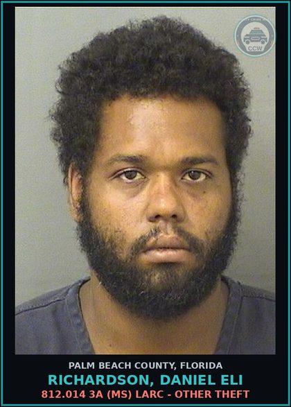 CCW arrest card for RICHARDSON, DANIEL ELI in Palm Beach County: 812.014 3A (MS) LARC - OTHER THEFT