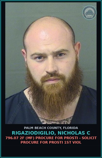 CCW arrest card for RIGAZIODIGILIO, NICHOLAS C in Palm Beach County: 796.07 2F (MF) PROCURE FOR Prosti - SOLICIT PROCURE FOR Prosti 1ST VIOL
