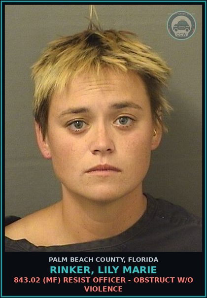 CCW arrest card for RINKER, LILY MARIE in Palm Beach County: 856.011 (MS) DISORDERLY INTOX - DISORDER INTOX PUBLIC PLACE CAUSE DISTURBANCE