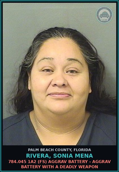 CCW arrest card for RIVERA, SONIA MENA in Palm Beach County: 784.045 1A2 (FS) AGGRAV BATTERY - AGGRAV BATTERY WITH A DEADLY WEAPON
