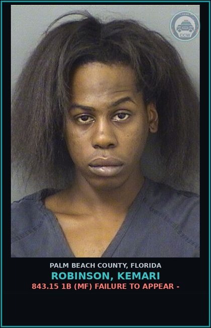 CCW arrest card for ROBINSON, KEMARI in Palm Beach County: 843.15 1B (MF) FAILURE TO APPEAR -