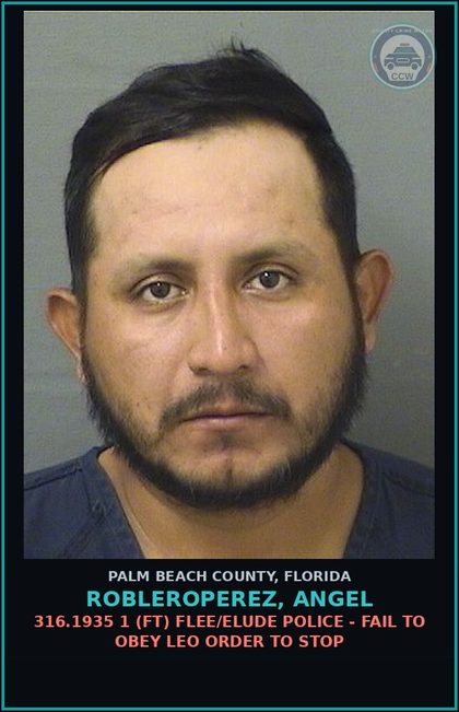 CCW arrest card for ROBLEROPEREZ, ANGEL in Palm Beach County: 316.1935 1 (FT) FLEE/ELUDE POLICE - FAIL TO OBEY LEO ORDER TO STOP