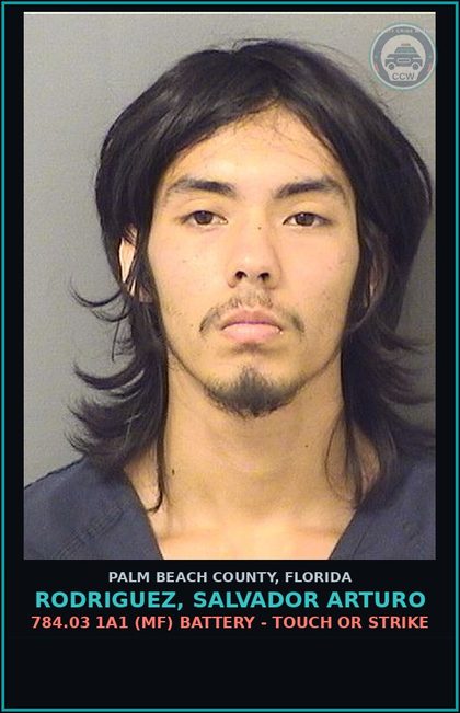 CCW arrest card for RODRIGUEZ, SALVADOR ARTURO in Palm Beach County: 784.03 1A1 (MF) BATTERY - TOUCH OR STRIKE