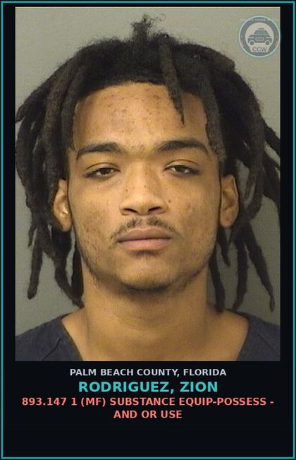 CCW arrest card for RODRIGUEZ, ZION in Palm Beach County: 893.13 6A (FT) DRUGS-POSSESS - POSSESS contr substance W/O PRESCRIPTION