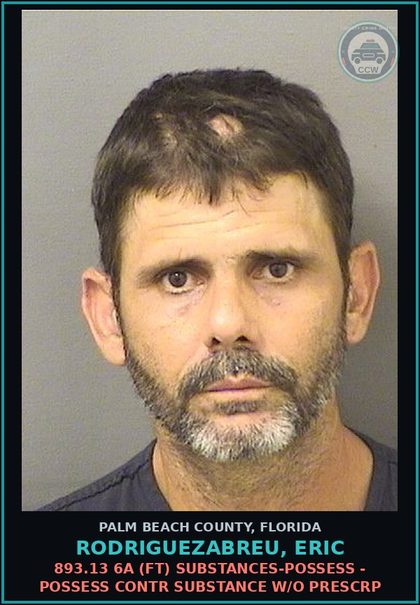 CCW arrest card for RODRIGUEZABREU, ERIC in Palm Beach County: 893.13 6A (FT) DRUGS-POSSESS - POSSESS contr substance W/O PRESCRIPTION