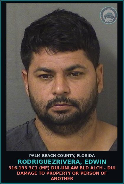 CCW arrest card for RODRIGUEZRIVERA, EDWIN in Palm Beach County: 316.193 3C1 (MF) DUI-UNLAW BLD ALCH - DUI DAMAGE TO PROPERTY OR PERSON OF ANOTHER