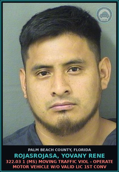CCW arrest card for ROJASROJASA, YOVANY RENE in Palm Beach County: 322.03 1 (MS) MOVING TRAFFIC VIOL - OPERATE MOTOR VEHICLE W/O VALID LIC 1ST CONV