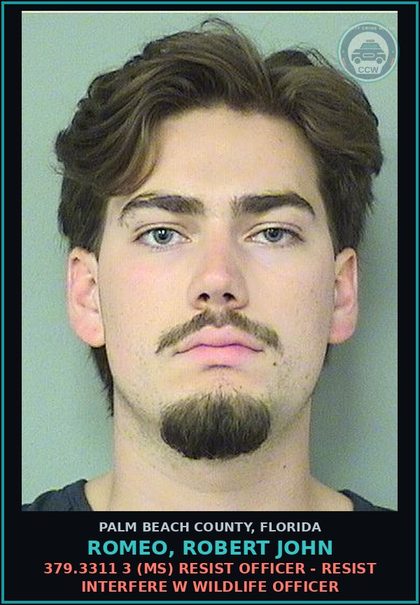 CCW arrest card for ROMEO, ROBERT JOHN in Palm Beach County: 379.3311 3 (MS) RESIST OFFICER - RESIST INTERFERE W WILDLIFE OFFICER