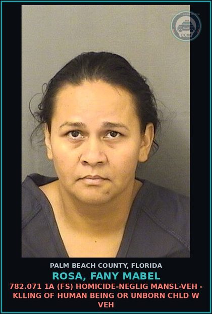 CCW arrest card for ROSA, FANY MABEL in Palm Beach County: 782.071 1A (FS) HOMICIDE-NEGLIG MANSL-VEH - KILLING OF HUMAN BEING OR UNBORN chld W VEH
