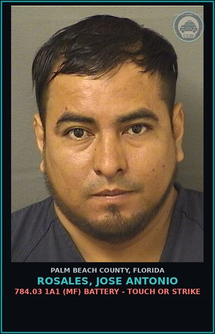CCW arrest card for ROSALES, JOSE ANTONIO in Palm Beach County: 784.03 1A1 (MF) BATTERY - TOUCH OR STRIKE
