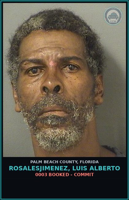 CCW arrest card for ROSALESJIMENEZ, LUIS ALBERTO in Palm Beach County: 0003 BOOKED - COMMIT