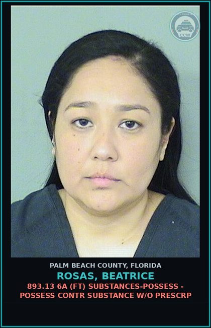 CCW arrest card for ROSAS, BEATRICE in Palm Beach County: 893.13 6A (FT) DRUGS-POSSESS - POSSESS contr substance W/O PRESCRIPTION