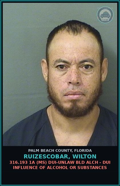 CCW arrest card for RUIZESCOBAR, WILTON in Palm Beach County: 316.193 1A (MS) DUI-UNLAW BLD ALCH - DUI INFLUENCE OF ALCOHOL OR DRUGS