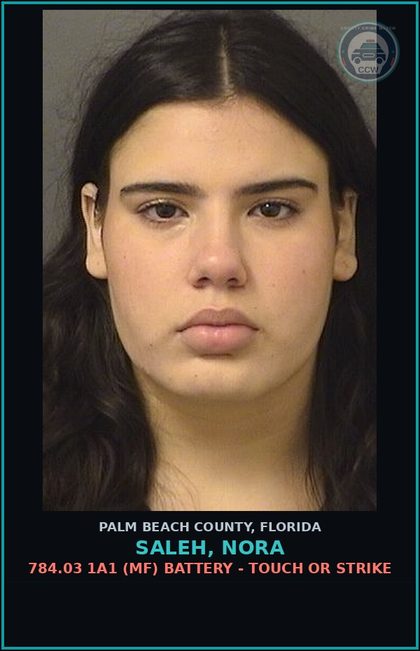 CCW arrest card for SALEH, NORA in Palm Beach County: 784.03 1A1 (MF) BATTERY - TOUCH OR STRIKE
