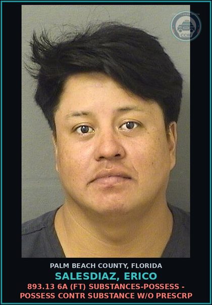 CCW arrest card for SALESDIAZ, ERICO in Palm Beach County: 893.13 6A (FT) DRUGS-POSSESS - POSSESS contr substance W/O PRESCRIPTION