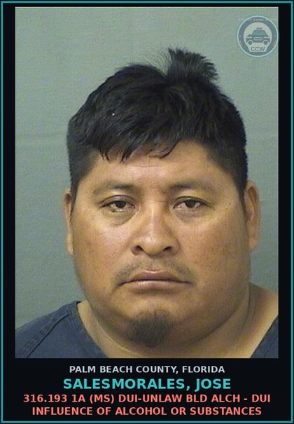 CCW arrest card for SALESMORALES, JOSE in Palm Beach County: 316.193 1A (MS) DUI-UNLAW BLD ALCH - DUI INFLUENCE OF ALCOHOL OR DRUGS