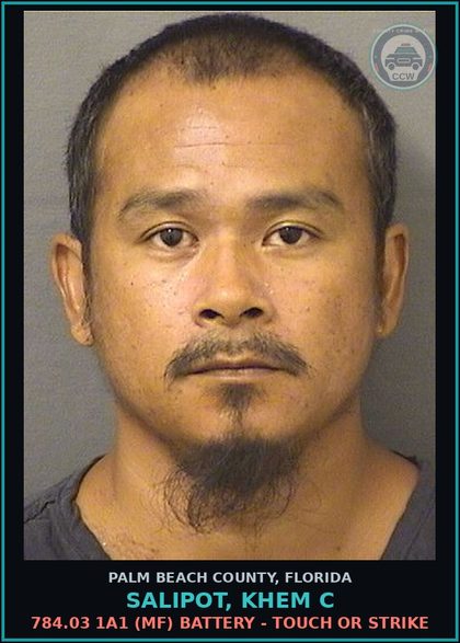CCW arrest card for SALIPOT, KHEM C in Palm Beach County: 784.03 1A1 (MF) BATTERY - TOUCH OR STRIKE